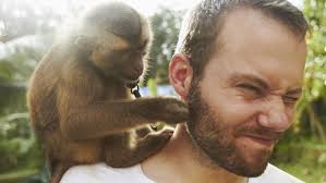 Image result for MONKEYS