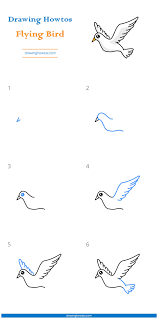 How To Draw A Flying Bird - Step By Step Easy Drawing Guides - Drawing Howtos