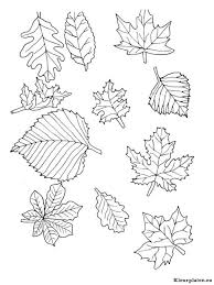 Blaadjes Kleurplaat Kleurplaten Herfst Tekenen Doodles