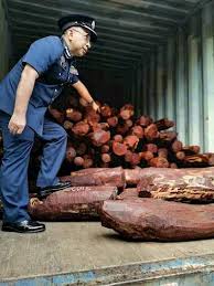 The law of malaysia is mainly based on the common law legal system. Major Haul Of Indian Red Sanders In Malaysia Wildlife Trade News From Traffic