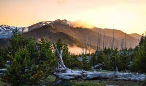 73 olympic national park washington rv parks & campgrounds. Here Is The Best Camping In Olympic National Park