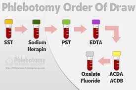 What Is Phlebotomy Order Of Draw Specimen Handling
