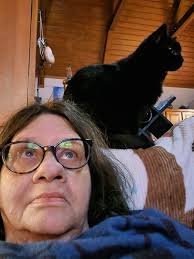 What are your favorite cat name styles? Funky, stereotypical, or human  names?