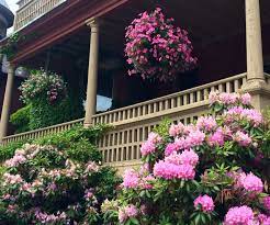 Looking for a grocery store near you that does grocery delivery or pickup in concord, nh? Lovely Flowers All Around The Centennial Hotel In Concord Nh Concord Nh Lovely Flowers