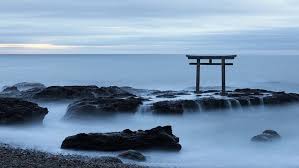 We did not find results for: Black Torii Gate Japanese Torii Hd Wallpaper Wallpaper Flare Torii Gate Wallpaper Hd Wallpaper