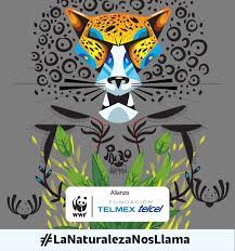 La Naturaleza Nos Llama Este Dia Mundial De Los Animales Hola Telcel Blog De Cine Musica Gaming Y Tecnologia Movil