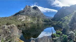 The rwenzori mountains national park in western uganda was created in 1991 and is just under a thousand square kilometres. Rwenzori Mountains National Park Uganda 2021 Kabira