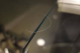 As the presence of white hair is mainly due to genetics, if your parents went grey at an early age, you probably will too. Single White Hair I Found On Check In On The Bathroom Counter Picture Of Mitsui Garden Hotel Ueno Taito Tripadvisor