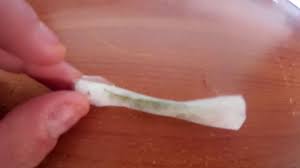 È infuriata con te e non sai se ti perdonerà mai. La Mia Prima Canna Come Fare Una Canna Tutorial Youtube