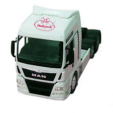 Welly Sh Man Tgx Oyuncak Metal Tir Cekici Kupa Panosundaki Pin