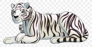 How do you draw a tiger head? White Tiger Drawing Bengal Tiger Sketch Png 1024x529px Tiger Animal Figure Bengal Tiger Big Cats Carnivoran