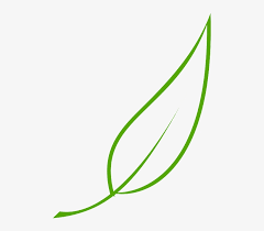 Download abstract leaf stock vectors. Green Outline Drawing Leaf Cartoon Free Color Leaf Clipart Vector Transparent Png 491x640 Free Download On Nicepng