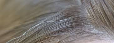 Vos premiers cheveux blancs arrivent ! Trucs Et Astuces Voici Comment Cacher Vos Premiers Cheveux Blancs Jean Marc Morandini