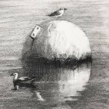 Seagulls Charcoaldrawing Of Two Seagulls Using Charcoal Pencil By Yong Chen Fishing Yongchen Undersun Outdoors Sea Creatures Art Art Day Sea Creatures