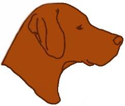 Advertise, sell, buy and rehome hungarian vizsla dogs and puppies with pets4homes. Vizsla Breeder Registry Vizsla Breeders Texas Usa Vizslas Vizsla Puppies Vizsla Breeder Registry Jayney S Creative Works Jcw