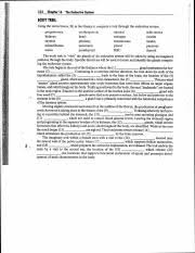 Body Trek Endocrine System 322 Chapter 16 The Endocrine System Body Trek Using The Terms Below Fill In The Blanks To Complete A Trek Through The Course Hero