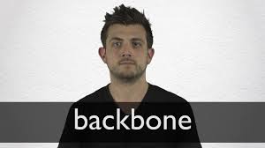 Maybe you would like to learn more about one of these? Backbone Definition And Meaning Collins English Dictionary