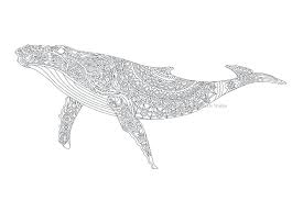 There are tons of great resources for free printable color pages online. Adult Coloring Page Whale Coloring Print Downloadable Whale Etsy