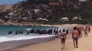 Ceuta seite auf flashscore.de bietet spielpaarungen, resultate, tabellen und spielinformationen. Fluchtlinge Spanien Schliesst Erstmals Grenzubergang Zu Ceuta Telepolis