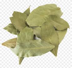 Bay Leaf Png, Transparent Png - 1000x1000(#6889943) - PngFind