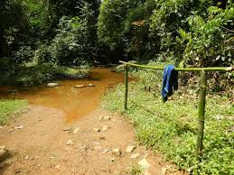 Where The Women Bathe In One Of The Villages We Visited Cameroon Africa Africa Travel Africa Cameroon
