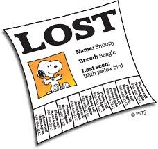 Check spelling or type a new query. Finding A Lost Pet Is Not As Simple As A Microchip Pet Amber Alert