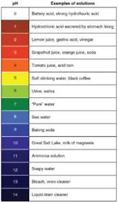 Introduction to Acids: Classifications, Examples with Questions & Videos