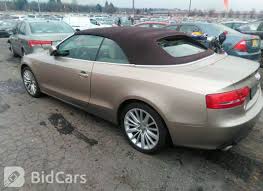 Image result for Aurum Beige 2010 A5