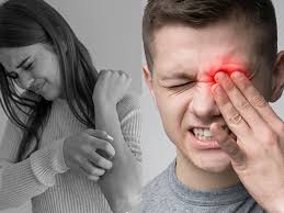 Amazon.com: HIMOX Room Air Purifiers for Allergies and Pets 1560 sq ft, 5  in 1 Medical Grade HEPA Filter Auto Sensors and PM2.5/PM10 Air Quality  Monitor, Bedroom Air Cleaner for Dust Pollen