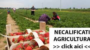 De asemenea, fiecare utilizator este ajutat de interfața intuitivă și ușor de folosit a platformei. Locuri De Munca Agricultura Germania Si Olanda Urgent Job Europa