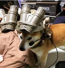 Bravo Six Going Bark Shiba 🐶😍 📷 credit to the adorable @sleepyboybaloo». bravo six going bark shiba