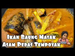 Ikan mas merupakan salahsatu ikan yang sering di jadikan target di lomba mancing ikan mas kilo gebrus dengan peraturan peserta harus terlebih dahulu menurunkan ikan beberapa kilo kedalam kolam kemudian setelah semua menurunkan ikan, perlombaan dimulai. Resepi Ikan Sembilang Masak Tempoyak Gulai Tempoyak Ikan Haruan Dapur Tanpa Sempadan