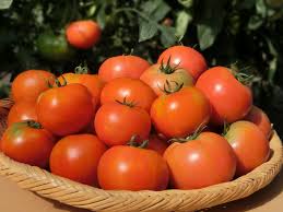 ぜいたく トマト