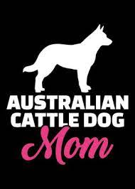 Metal dining table legs australian cattle puppies. Australian Cattle Dog Posters Art Prints Wall Art Displate