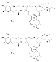 Ivermectin Wikipedia