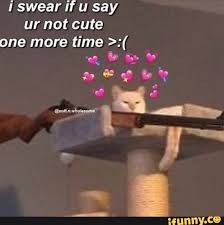 I Swear If U Say Ur Not Cute One More Time Ifunny In 2020 Ifunny Swear Sayings