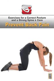 Pin On Core Exercises For Back Pain