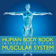 You can click the links in the image, or the links below the image to find out more information on any muscle group. Human Body Book Introduction To The Muscular System Children S Anatomy Physiology Edition Baby Professor 9781683056409 Awesomebooks