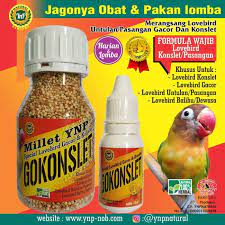 1 paket banyak cerita jamu koplo vs pakan oplosan j&r jamu terbuat dari bahan herbal asli non. Racikan Jamu Lovbirt Konslet Untuk Betina Dopinglovebirdkonslet 5 Ramuan Khusus Makanan Untuk Lovebird Konslet