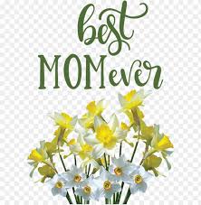 Have you tried following her instructions before? Mother S Day Wild Daffodil Flower Floral Design For Happy Mother S Day For Mothers Day Png Image With Transparent Background Toppng