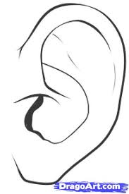 It's easy and it's a lot of fun too! How To Draw Ears Step By Step For Kids Learn How To Draw