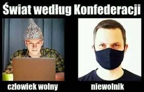 Obwodowych komisji wyborczych, konfederacja korwin braun liroy narodowcy. Twoje Memy Baw Sie Dobrze
