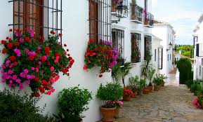 We kindly reccomend you to switch to the mobile version of this site by clicking here. 20 Aktivitaten In Marbella Sehenswurdigkeiten Fur Jeden Tag