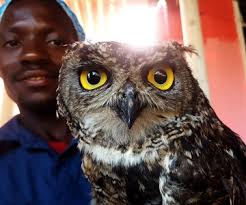 PhotoEssay » South Africa Wins Gold at U17 EU Nations Water Polo Cup