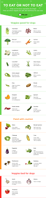Jul 11, 2021 · the texarkana gazette is the premier source for local news and sports in texarkana and the surrounding arklatex areas. 26 Vegetables For Dogs To Eat Or Not To Eat Infographic Dog Vegetables Foods Dogs Can Eat Can Dogs Eat