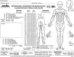 Asia Chart Spinal Cord Injury Spinal Cord Neurology