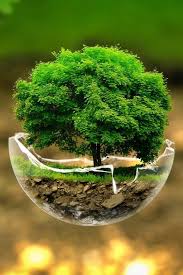 Best Nature Wallpaper Hd For Mobile Fur Android Apk Herunterladen Better than any royalty free or stock photos.