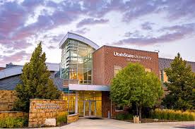 Image result for Thesium ussanguense