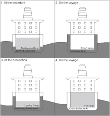 Ballast Water An Overview Sciencedirect Topics