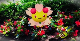 Created by gongertana community for 1 year. Flame Deathh Instagram Post Photo Brought My Lil Cherrim To A Little Flower Patch I Fell In Love My Favorite Grass Type Pokemon Pokemongo Pokemongoar Pokemonarplus Grass Grasspokemon Grasstype Cherrim Happy Adorable